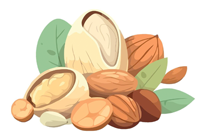 Nuts & Dried Fruits Icon